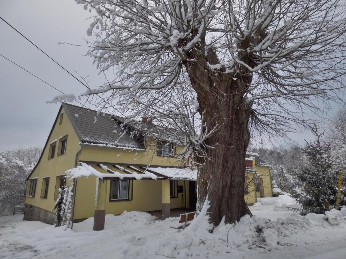 Na Kopci 84 Apartman Stare Krecany Kültér fotó